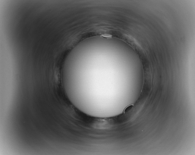 X0000099570083200805301549