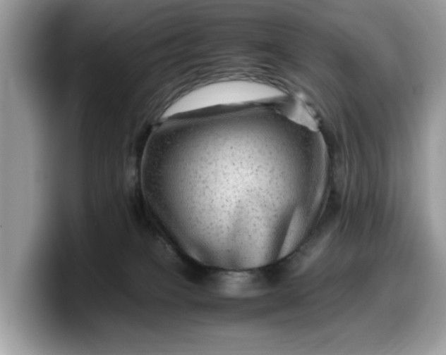 X0000099570085200805301549