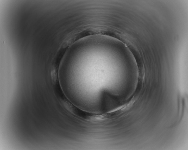 X0000099570086200805301549