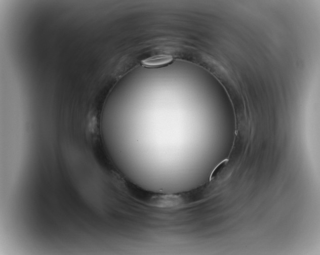 X0000099570087200805301549
