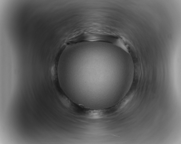 X0000099570088200805301549