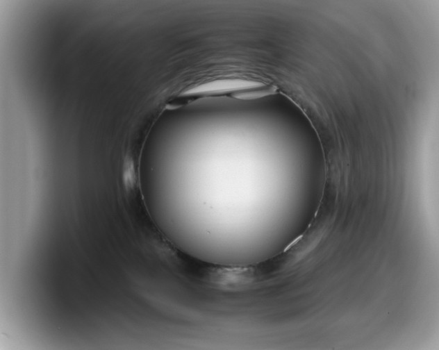 X0000099570089200805301549