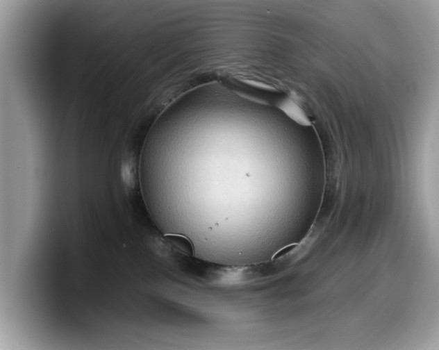 X0000099570090200805301549