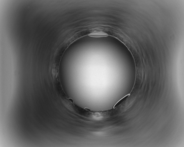 X0000099570091200805301549