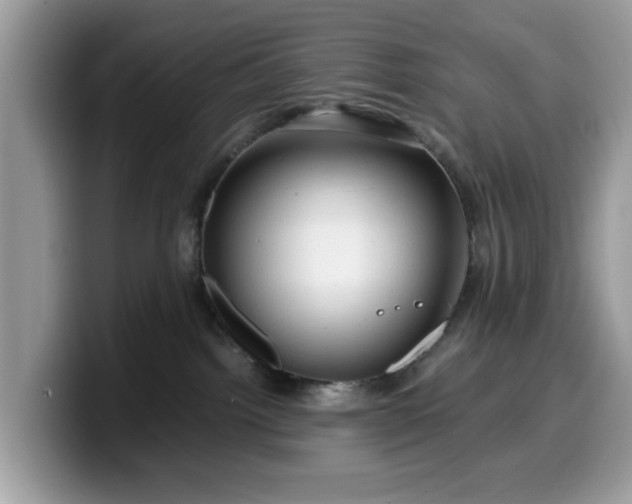 X0000099570092200805301549