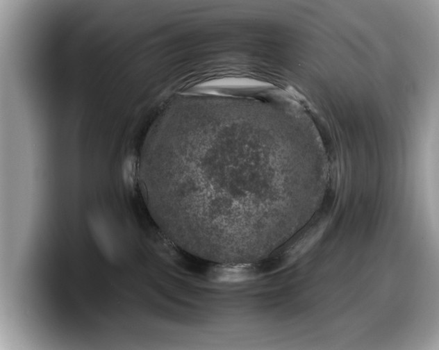 X0000099570093200805301549