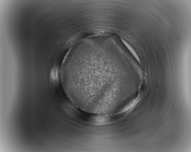 X0000099570094200805301549