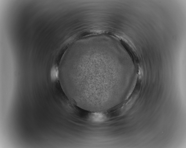 X0000099570095200805301549
