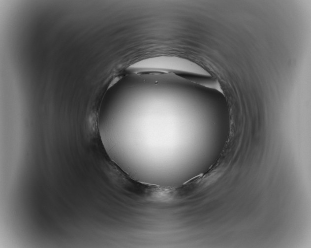X0000099570096200805301549