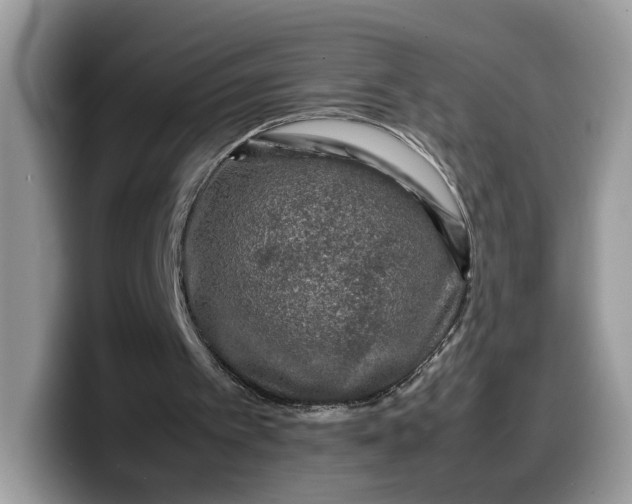 X0000099570097200805301548