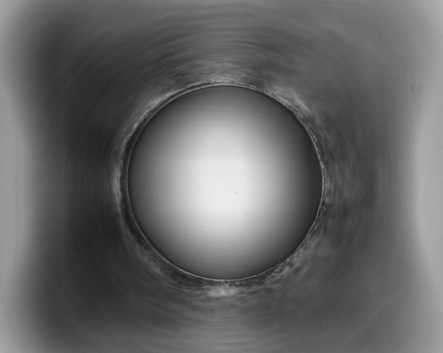 X0000099570098200805301548