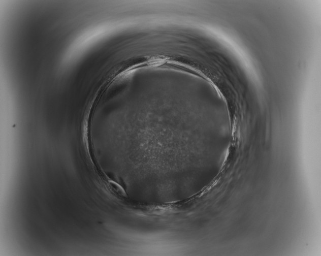 X0000099570099200805301548