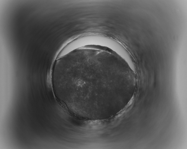 X0000099570100200805301548