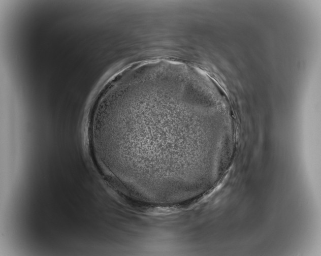 X0000099570101200805301548