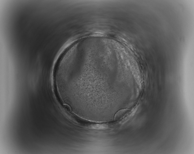 X0000099570102200805301548