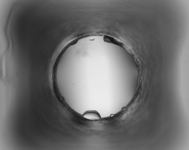 X0000099570103200805301548