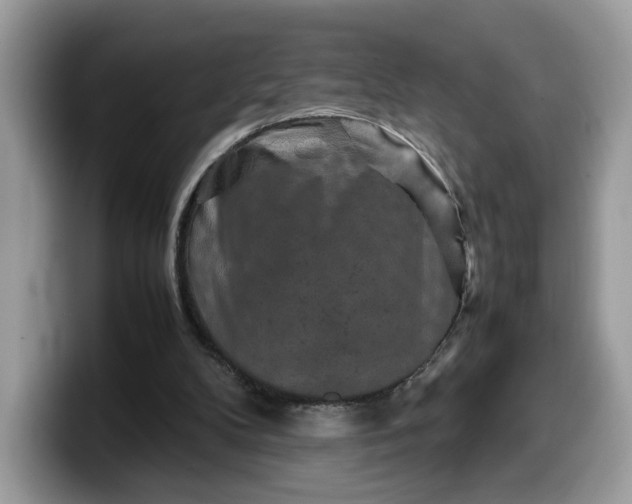 X0000099570104200805301548