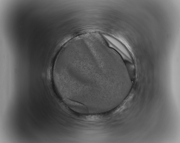 X0000099570105200805301548