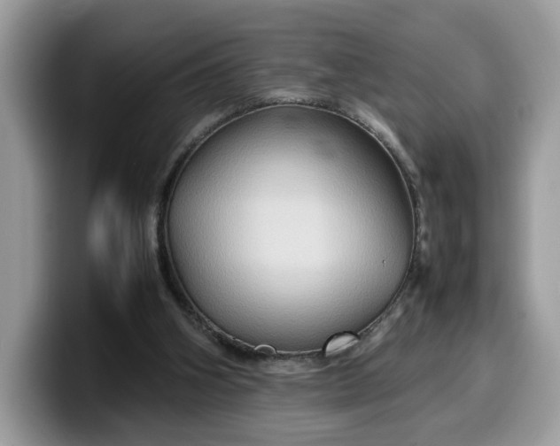 X0000099570106200805301548