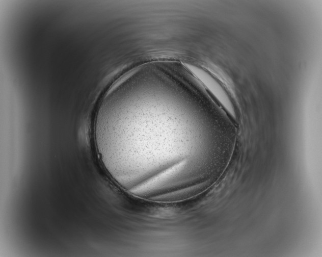 X0000099570107200805301548