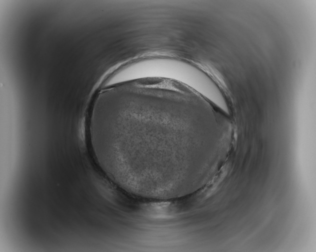X0000099570108200805301548