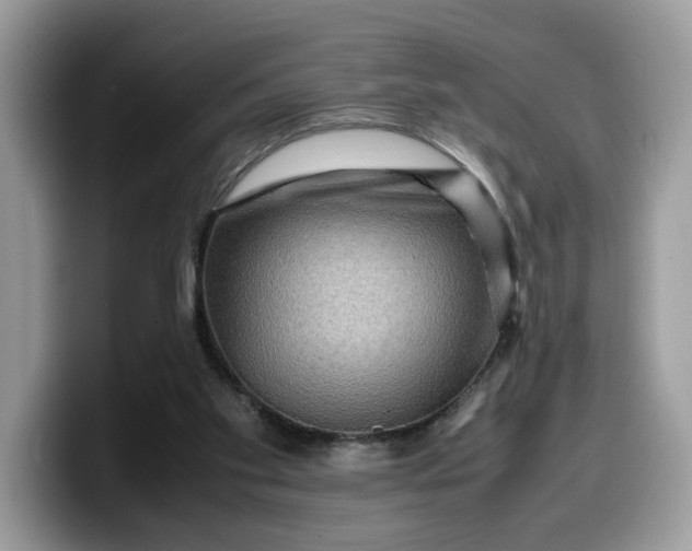 X0000099570109200805301548