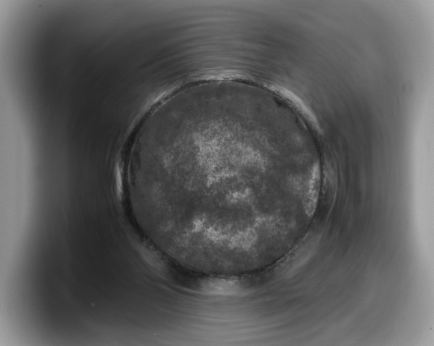 X0000099570110200805301548