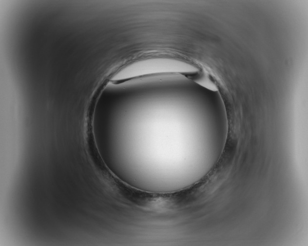 X0000099570111200805301548
