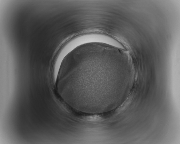 X0000099570112200805301548