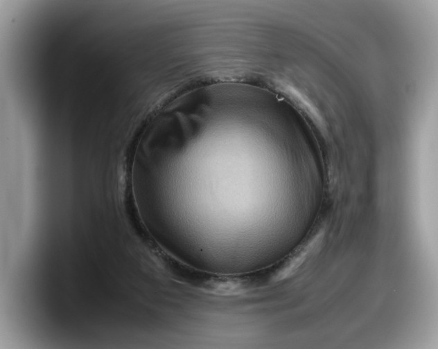 X0000099570113200805301548