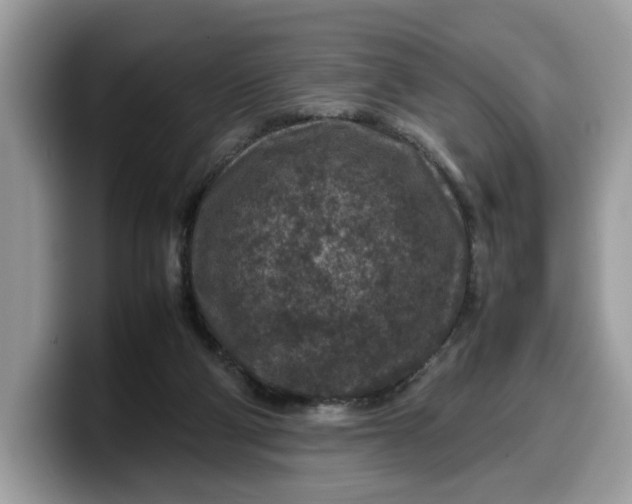 X0000099570114200805301548