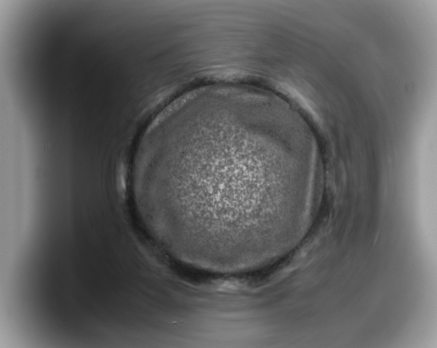 X0000099570115200805301548
