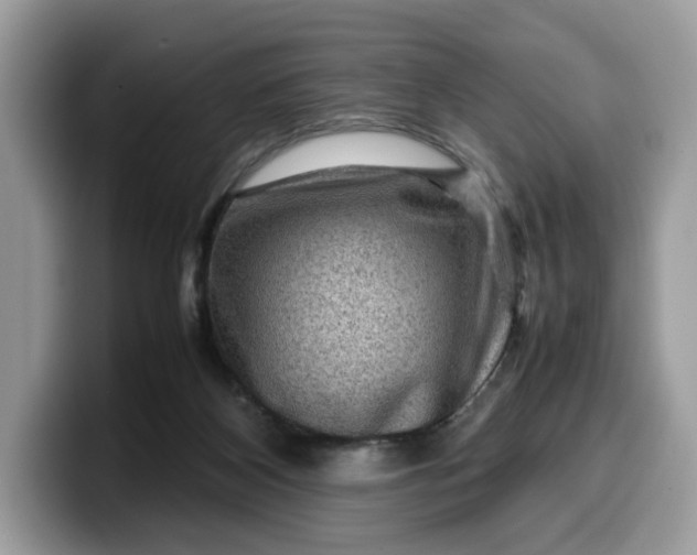 X0000099570116200805301548