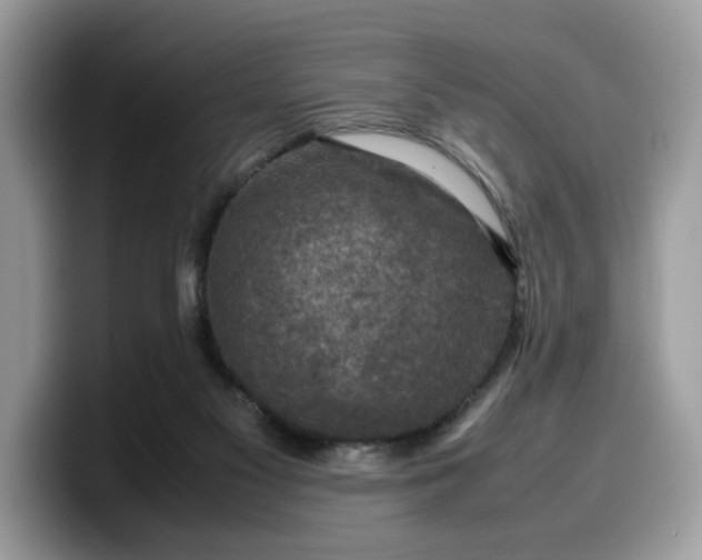 X0000099570117200805301548