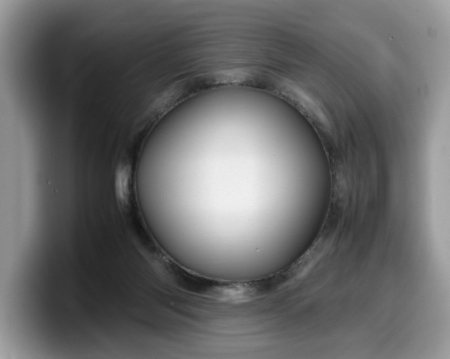 X0000099570118200805301548