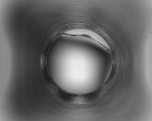 X0000099570119200805301548
