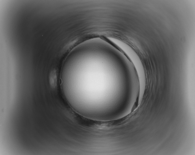 X0000099570120200805301548