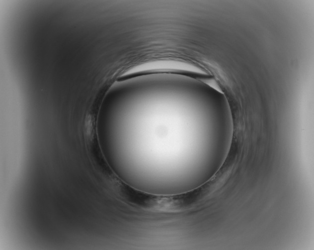 X0000099570121200805301548