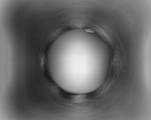 X0000099570122200805301548