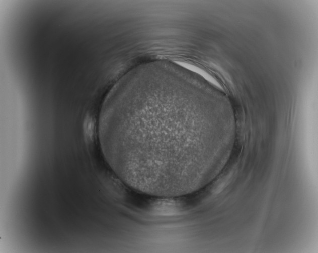 X0000099570123200805301548