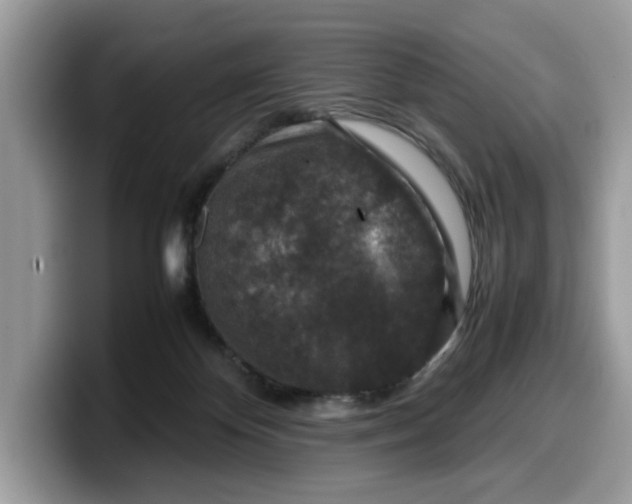 X0000099570124200805301548