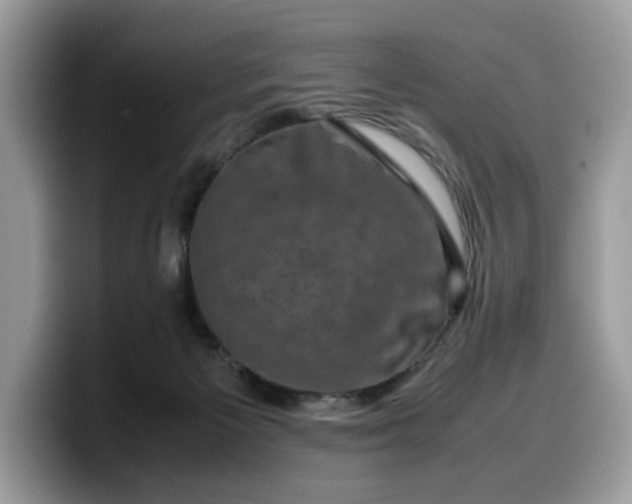 X0000099570125200805301548