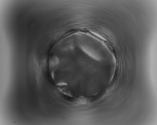 X0000099570127200805301548