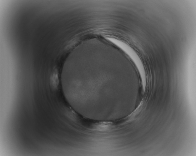 X0000099570128200805301548