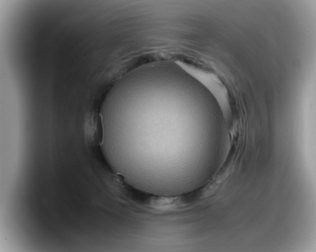 X0000099570129200805301548
