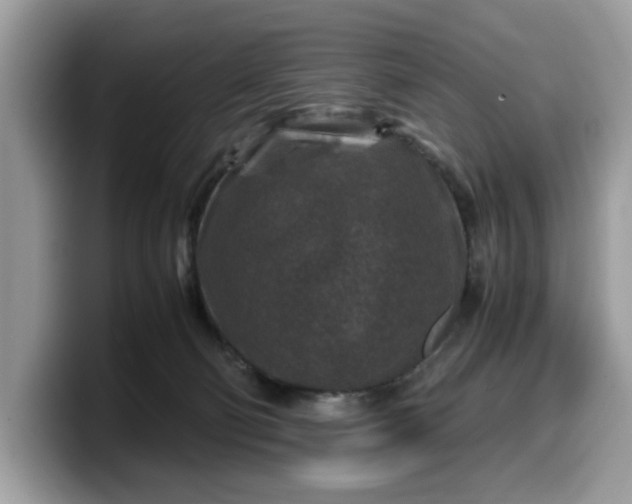 X0000099570130200805301548