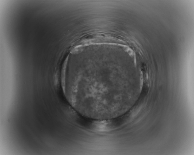 X0000099570131200805301548