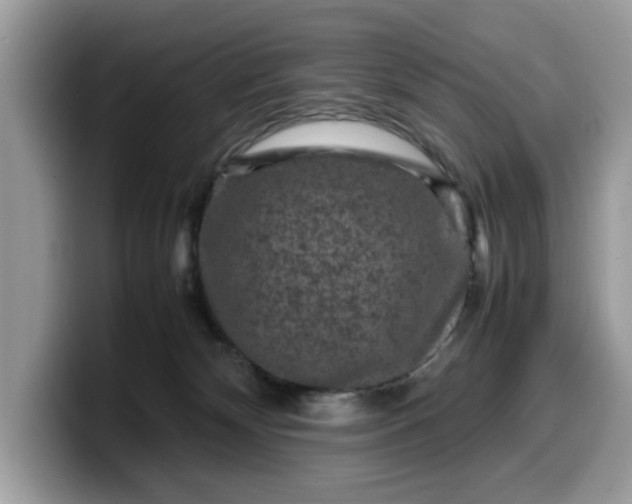 X0000099570132200805301548