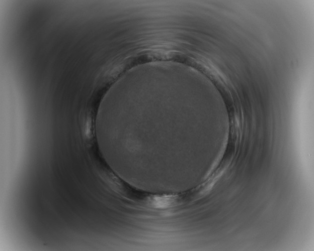 X0000099570134200805301548