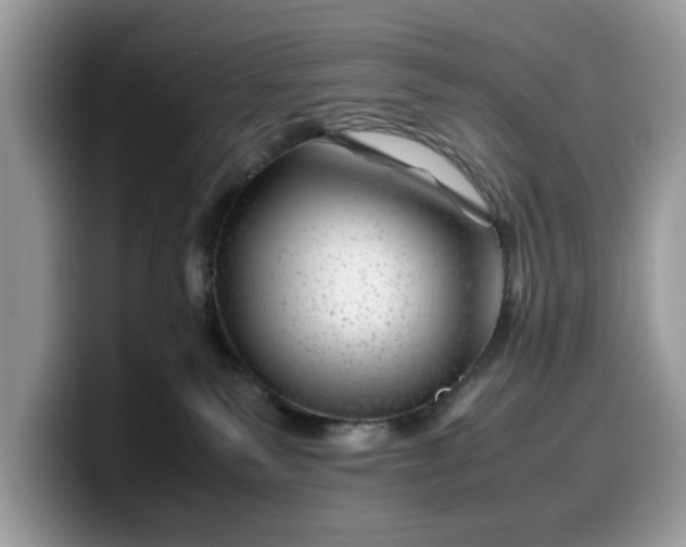 X0000099570135200805301548